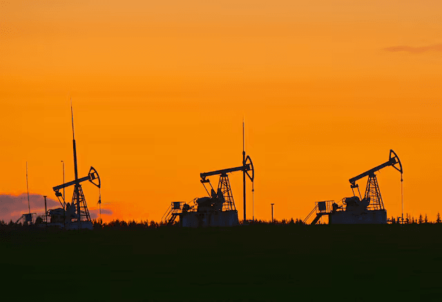 Индия сокращает закупки российской нефти на 50% и впервые купила нефть из Южной Америки — Reuters