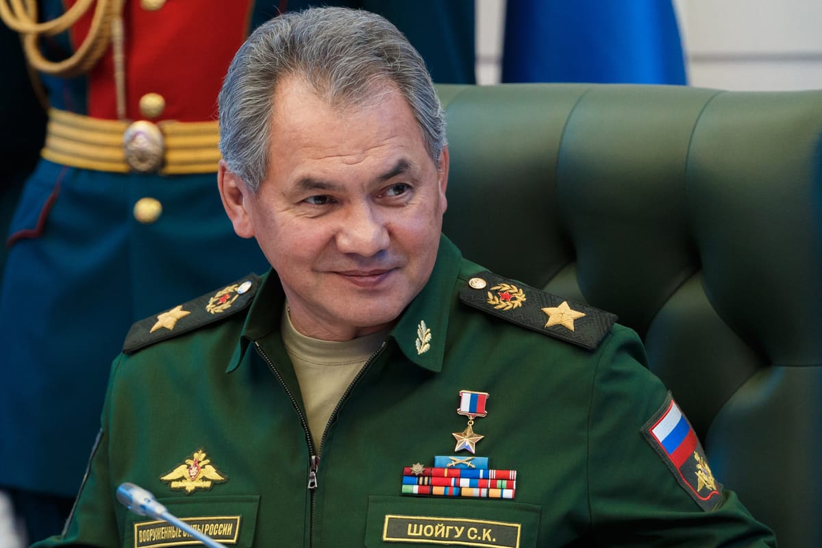 Дочь Шойгу могут лишить литовского гражданства, ведется расследование